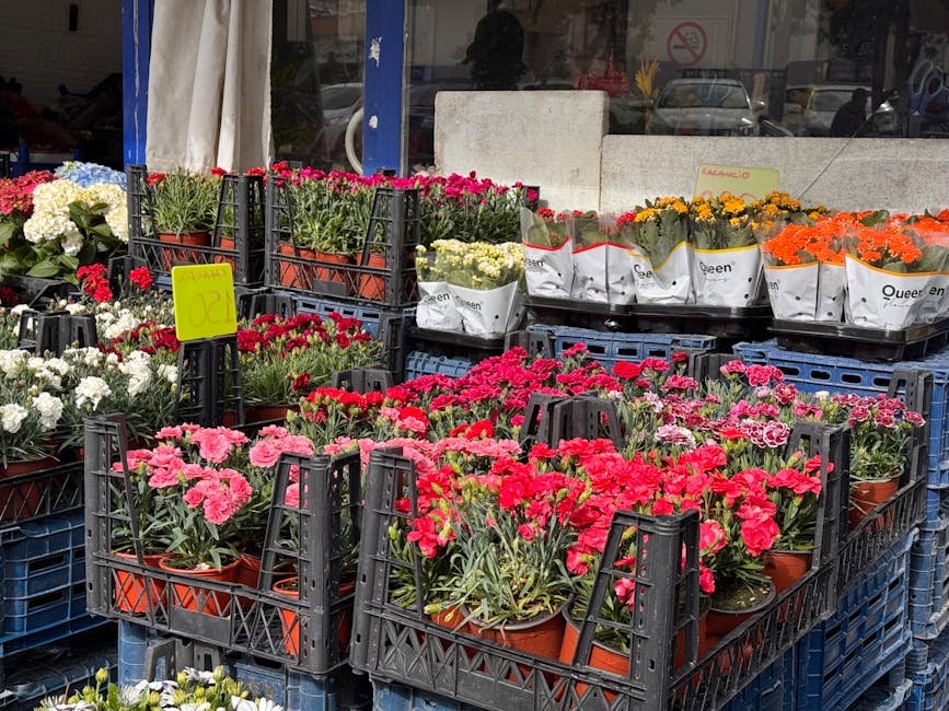 A display of fresh flowering plants arranged in black plastic crates outside a flower shop, featuring vibrant pink and red carnations, white hyacinths, yellow marigolds, and orange chrysanthemums, all